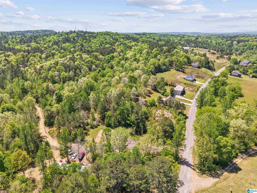 1678 HAYS CEMETERY ROAD, Hayden, AL 35079