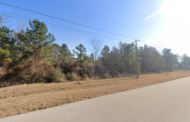 35 Coyote Run, Willis, TX 77378