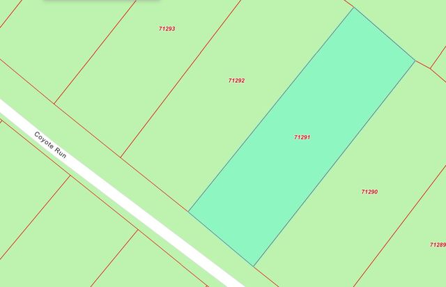 35 Coyote Run, Willis, TX 77378