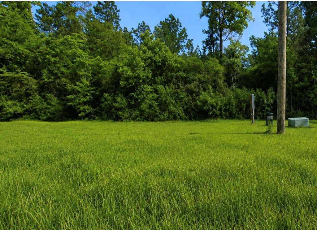 35 Coyote Run, Willis, TX 77378