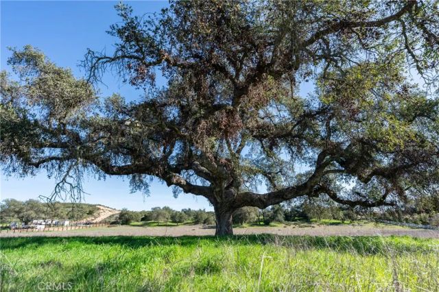 41560 De Anna Ranch, Murrieta, CA 92562