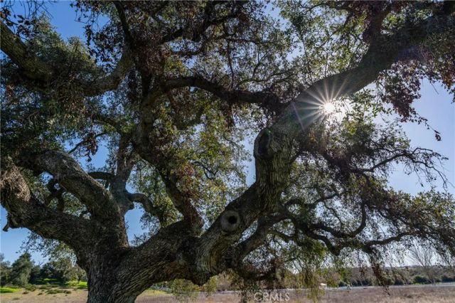 41560 De Anna Ranch, Murrieta, CA 92562