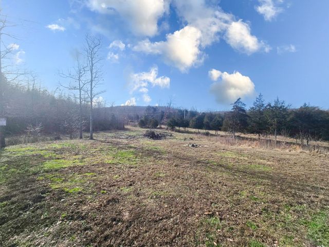 11940 Greenwood Road, Cabool, MO 65689