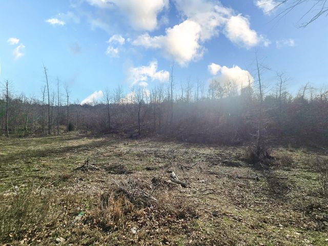 11940 Greenwood Road, Cabool, MO 65689