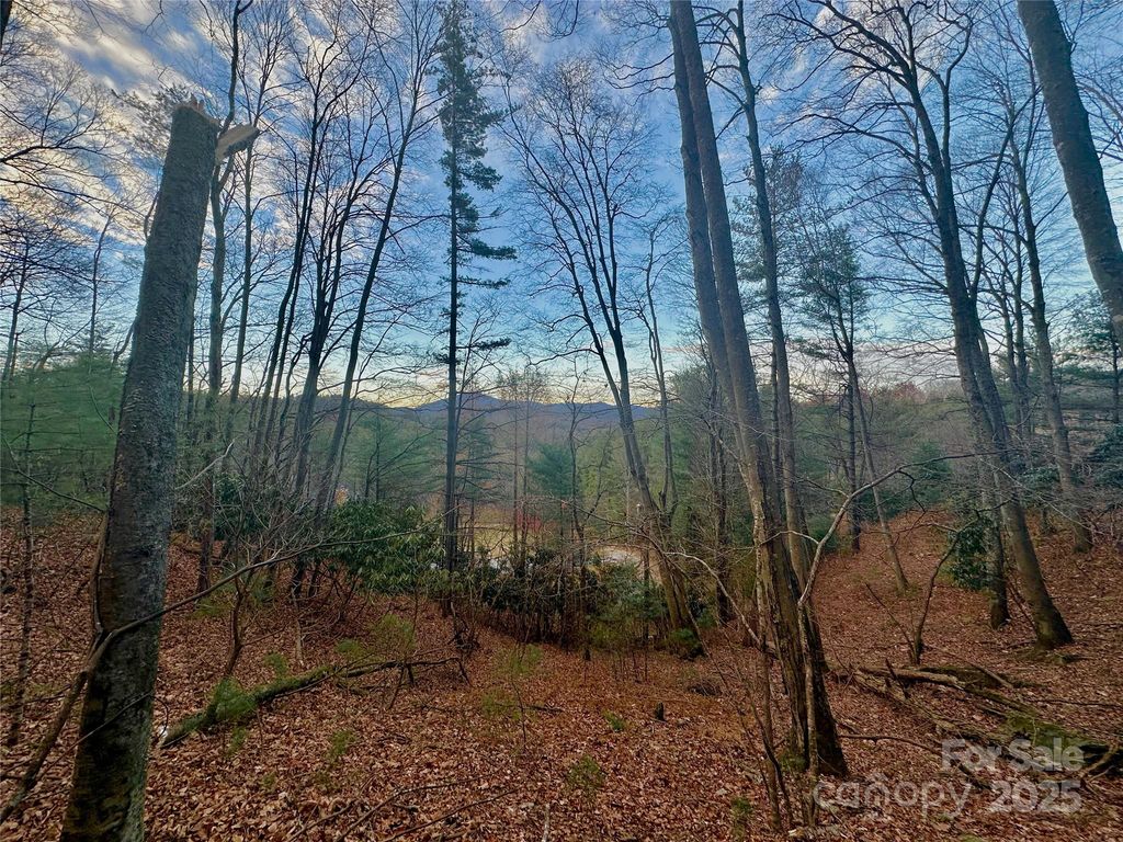 TBD Bare Hollow Road, West Jefferson, NC 28694