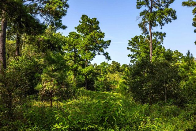 Tract 11 CR 4222, Frankston, TX 75763