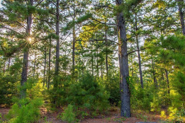 Tract 11 CR 4222, Frankston, TX 75763