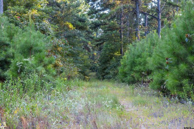 Tract 11 CR 4222, Frankston, TX 75763