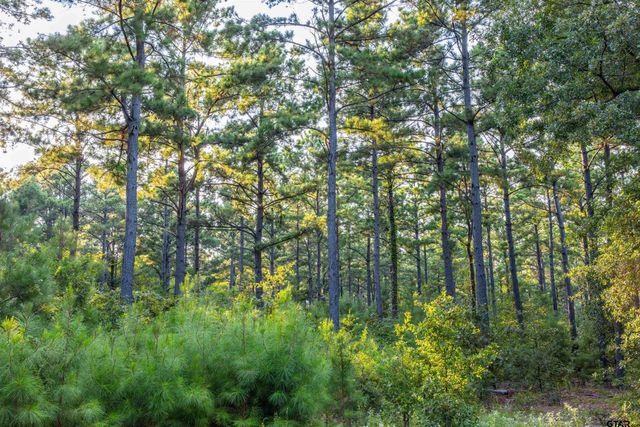 Tract 11 CR 4222, Frankston, TX 75763