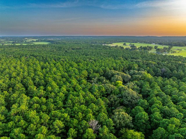 Tract 11 CR 4222, Frankston, TX 75763