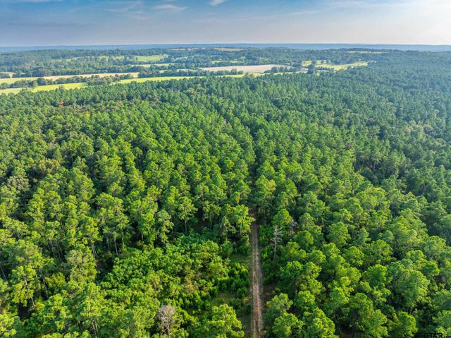 Tract 11 CR 4222, Frankston, TX 75763