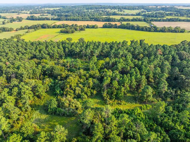 Tract 11 CR 4222, Frankston, TX 75763