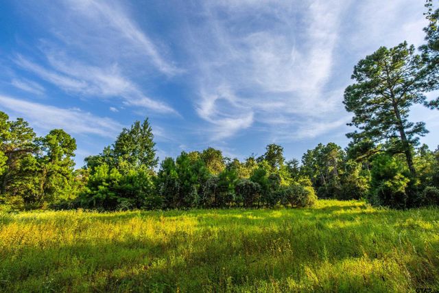 Tract 11 CR 4222, Frankston, TX 75763