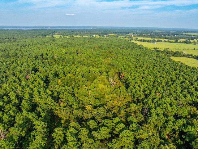Tract 11 CR 4222, Frankston, TX 75763