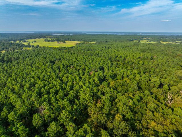 Tract 11 CR 4222, Frankston, TX 75763