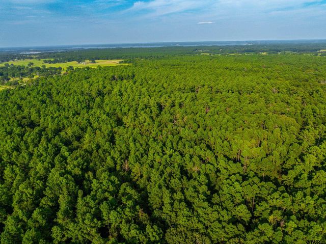 Tract 11 CR 4222, Frankston, TX 75763