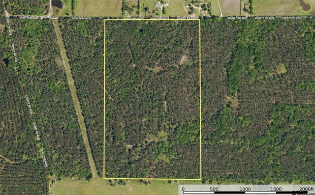 Tract 11 CR 4222, Frankston, TX 75763