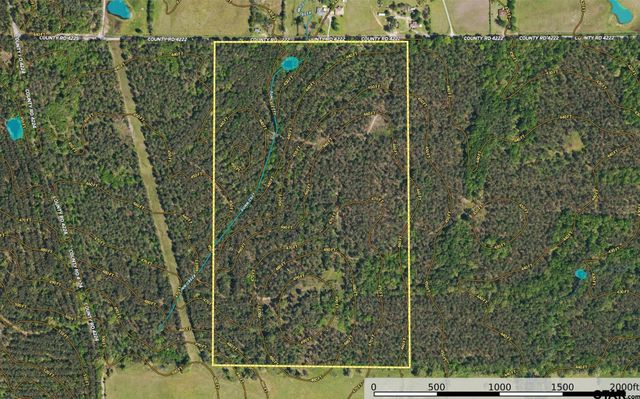 Tract 11 CR 4222, Frankston, TX 75763