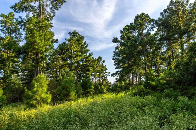Tract 11 CR 4222, Frankston, TX 75763