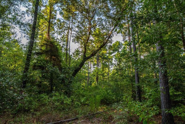 Tract 11 CR 4222, Frankston, TX 75763