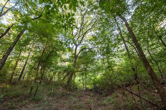 Tract 11 CR 4222, Frankston, TX 75763