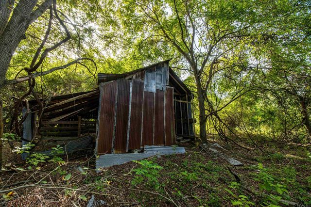 Tract 11 CR 4222, Frankston, TX 75763