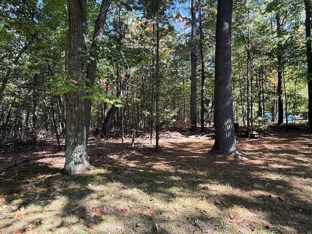 6412 E Higgins Lake Drive, Roscommon, MI 48653