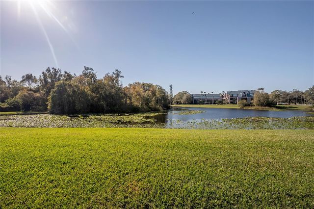 5100 BURCHETTE ROAD 3903, Tampa, FL 33647