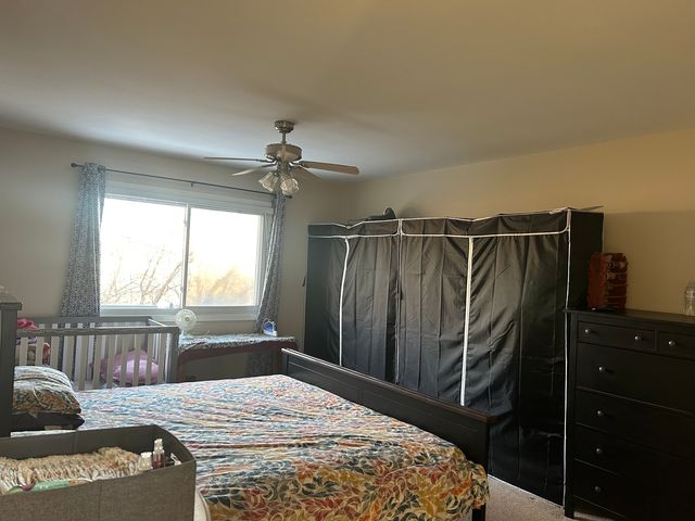 392 Ingleside Drive, Bolingbrook, IL 60490