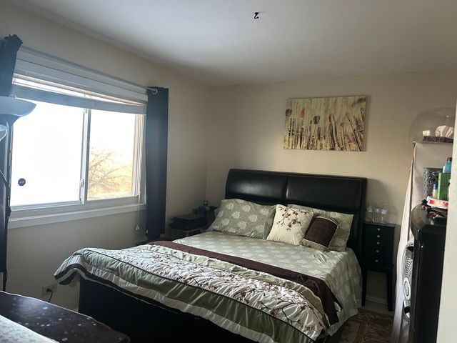 392 Ingleside Drive, Bolingbrook, IL 60490