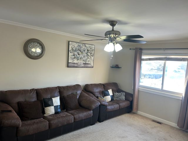 392 Ingleside Drive, Bolingbrook, IL 60490