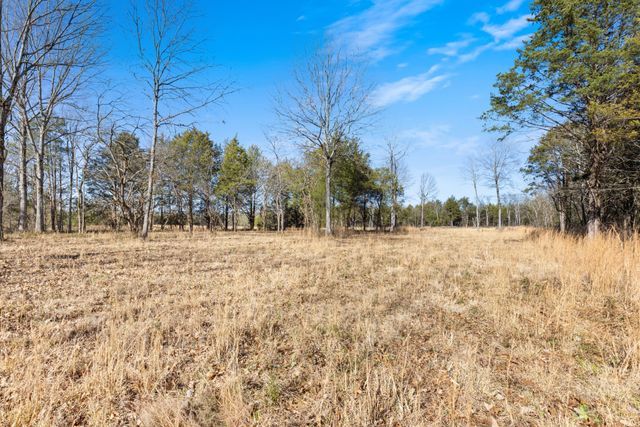 3247 Rucker Rd, Christiana, TN 37037