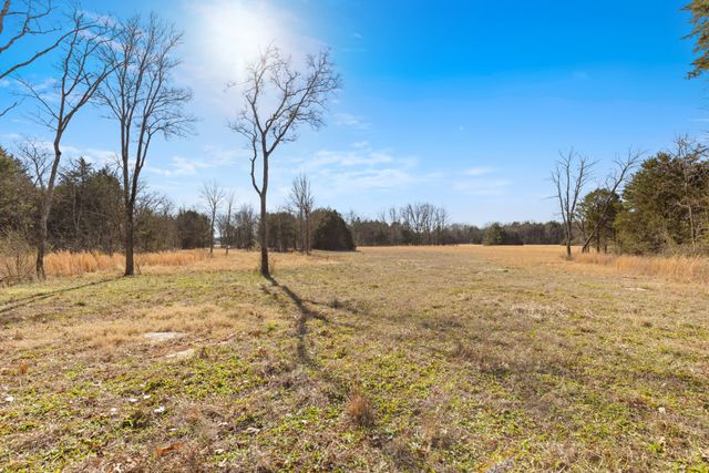 3247 Rucker Rd, Christiana, TN 37037