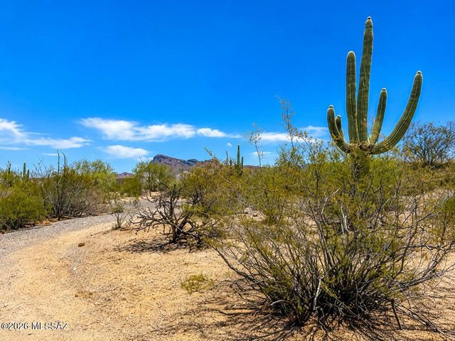 6685 N Spring Wagon Drive, Tucson, AZ 85743