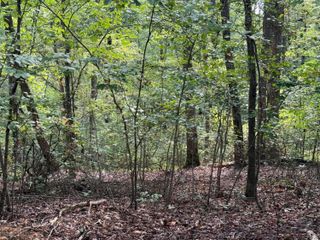 64 Riddle Street, Dayton, TN 37321