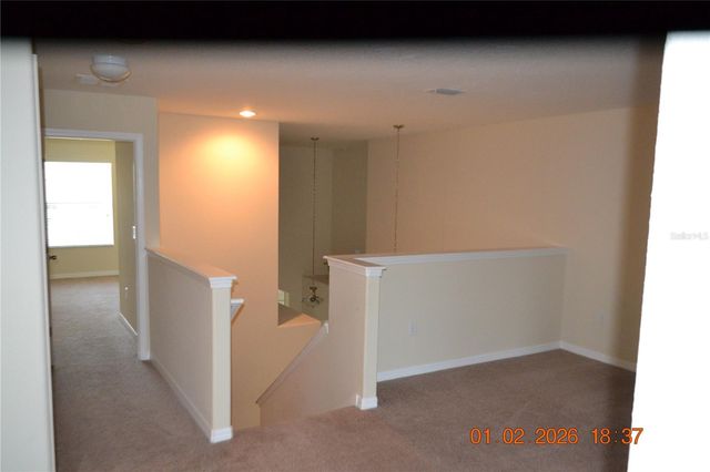 20509 CAROLINA CHERRY COURT, Tampa, FL 33647