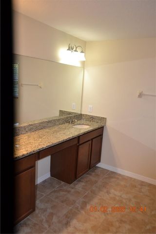 20509 CAROLINA CHERRY COURT, Tampa, FL 33647