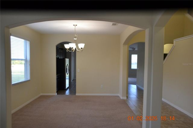 20509 CAROLINA CHERRY COURT, Tampa, FL 33647