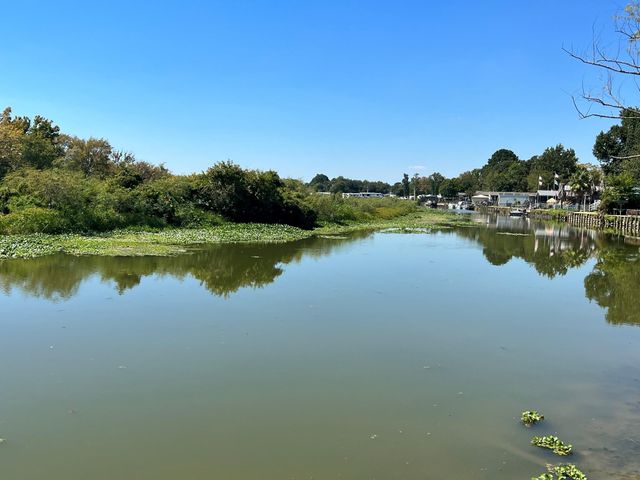 11606 Vistawood Street, Willis, TX 77318