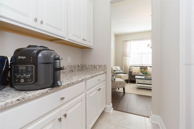 16130 MONTEREY GREENS CIRCLE, Tampa, FL 33647