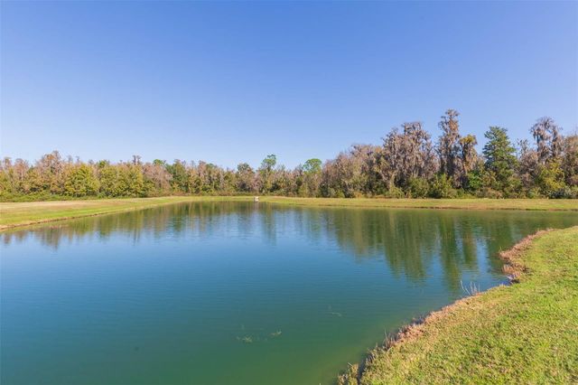 16130 MONTEREY GREENS CIRCLE, Tampa, FL 33647