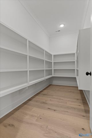 23362 Sawgrass Drive, Athens, AL 35613