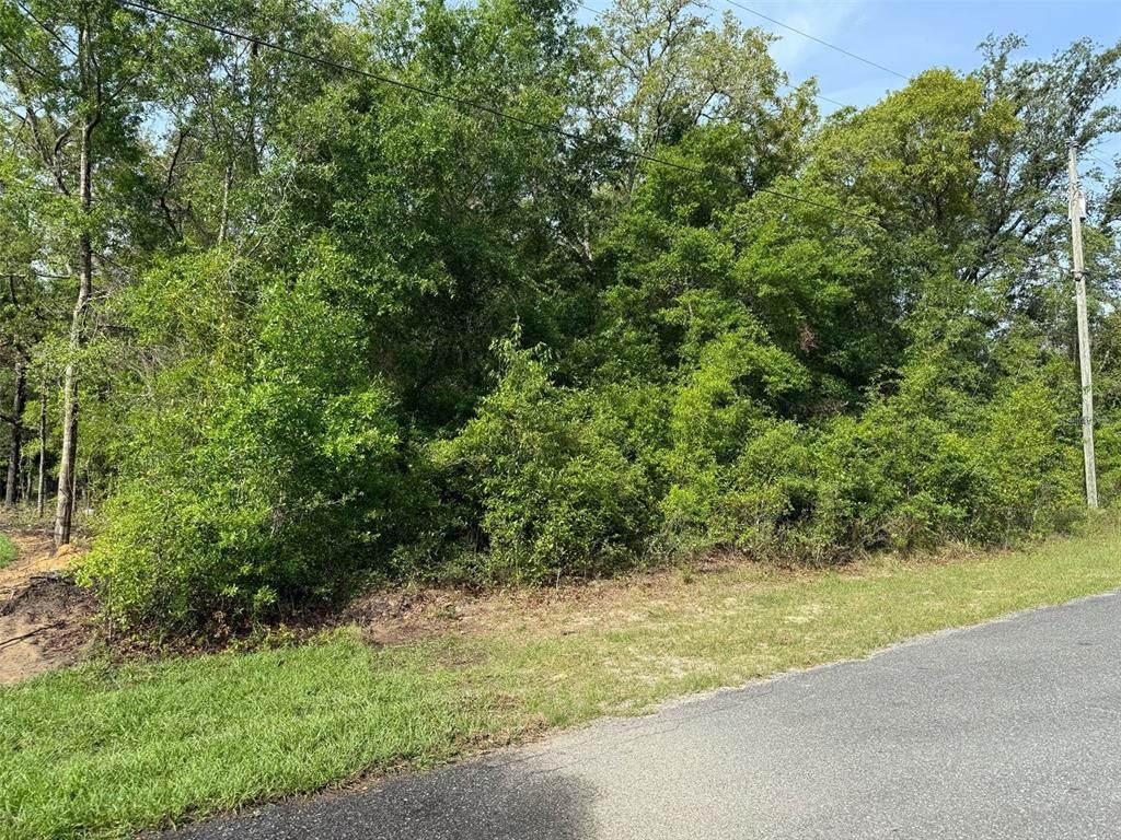 10274 N HARBOR WAY, Citrus Springs, FL 34434