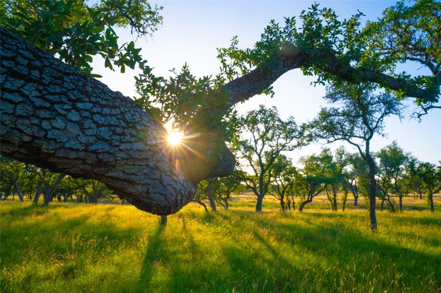 0 Bountiful Oaks Ranch, Johnson City, TX 78636