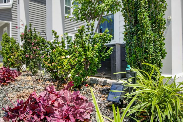 202 Narrowleaf Avenue, Summerville, SC 29485