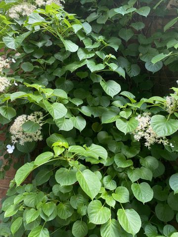 638 Timber Ln, Nashville, TN 37215