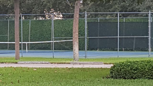 321 Norwood Terrace N224, Boca Raton, FL 33431