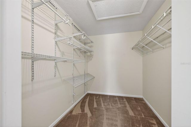 15710 PINTO PLACE, Tampa, FL 33624