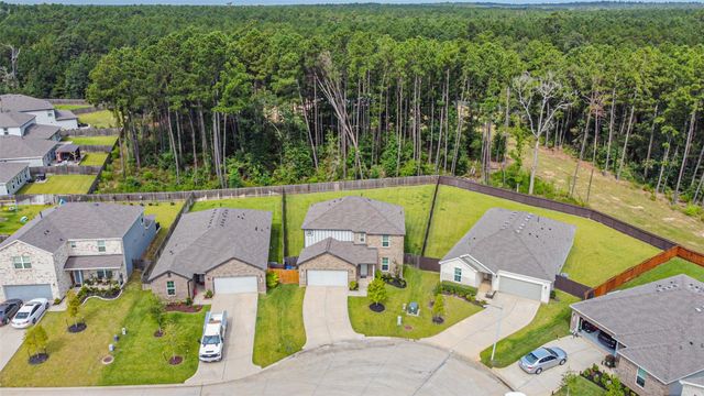 5951 Peonies Place, Montgomery, TX 77316