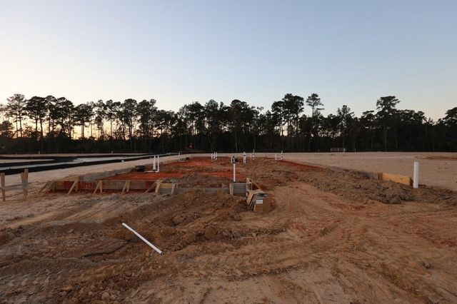 11436 Billy Bob Street, Montgomery, TX 77354